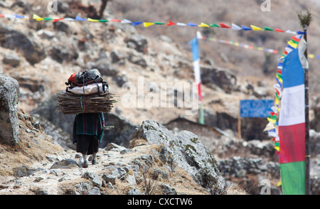 Donna nepalese trasportare il legno e sacchi sul suo indietro lungo un sentiero di montagna, Langtang valley, Nepal Foto Stock