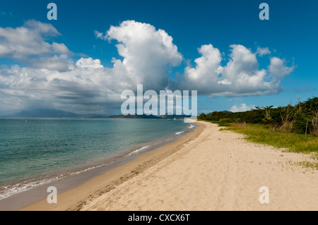 Pinney's Beach, Nevis, Saint Kitts e Nevis, West Indies, dei Caraibi e America centrale Foto Stock