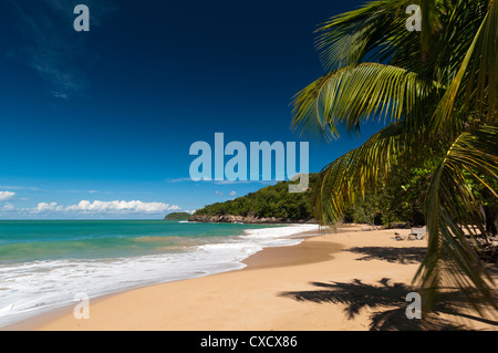 La Perle Beach, Deshaies, Basse-Terre Guadalupa, Caraibi francesi, Francia, West Indies, America Centrale Foto Stock