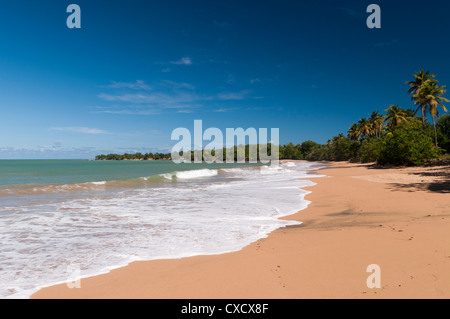 Spiaggia di Cluny, Deshaies, Basse-Terre Guadalupa, Caraibi francesi, Francia, West Indies, America Centrale Foto Stock