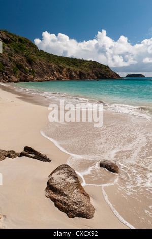 Anse de Grande spiaggia di Salina, St. Barthelemy, West Indies, dei Caraibi e America centrale Foto Stock