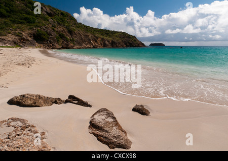 Anse de Grande spiaggia di Salina, St. Barthelemy, West Indies, dei Caraibi e America centrale Foto Stock