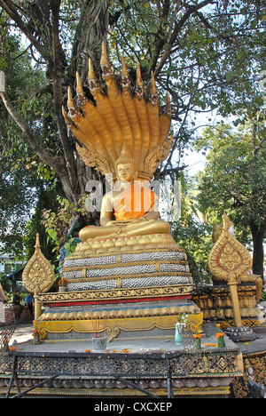 statua del buddha, tempio di Vat Simuang, Vientiane, Laos Foto Stock