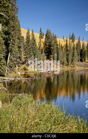Lago di argento in autunno, Wasatch-Cache National Forest, Utah, Stati Uniti d'America, America del Nord Foto Stock