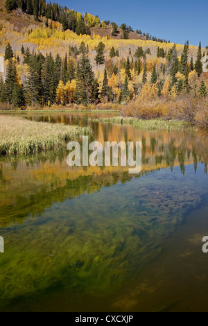 Lago di argento in autunno, Wasatch-Cache National Forest, Utah, Stati Uniti d'America, America del Nord Foto Stock