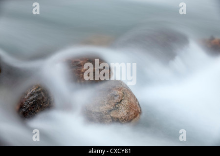 Massi in Baring Creek, il Parco Nazionale di Glacier, Montana, Stati Uniti d'America, America del Nord Foto Stock