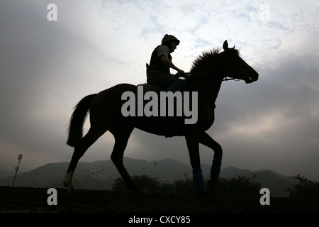 Hong Kong, silhouette di cavallo e cavaliere Foto Stock