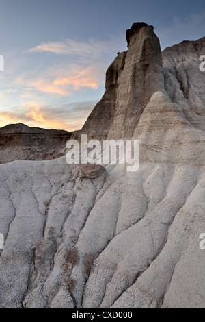 Badlands, Parco Provinciale dei Dinosauri, Sito Patrimonio Mondiale dell'UNESCO, Alberta, Canada, America del Nord Foto Stock