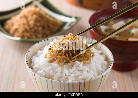 Chirimen Sansho sul riso al vapore Foto Stock