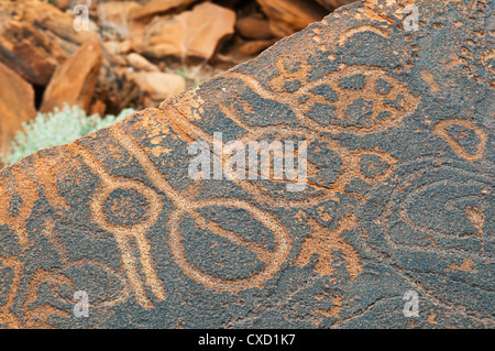 Petroglifi o incisioni rupestri, Twyfelfontein, Sito Patrimonio Mondiale dell'UNESCO, Damaraland, Regione di Kunene, Namibia, Africa Foto Stock