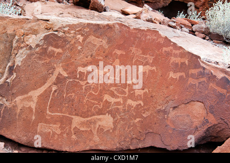 Petroglifi o incisioni rupestri, Twyfelfontein, Sito Patrimonio Mondiale dell'UNESCO, Damaraland, Regione di Kunene, Namibia, Africa Foto Stock