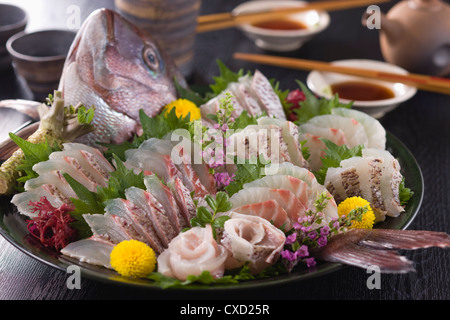 Orate di mare Sashimi Foto Stock