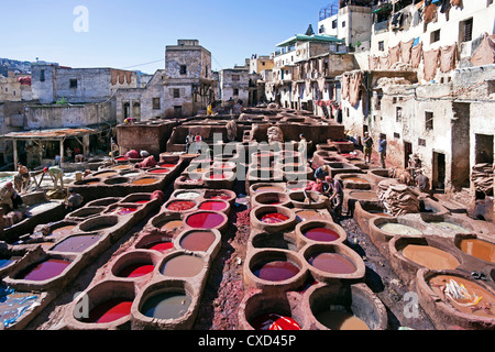 Chouwara tradizionale in pelle di conceria vecchio Fez, tini per la concia e tintura di cuoio Cuoi e pelli, Fez, in Marocco, Africa del Nord Foto Stock