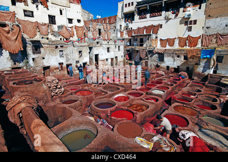 Chouwara tradizionale in pelle di conceria vecchio Fez, tini per la concia e tintura di cuoio Cuoi e pelli, Fez, in Marocco, Africa del Nord Foto Stock