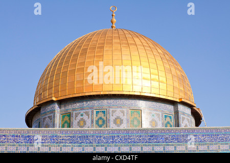 Cupola della roccia, il Monte del Tempio, Città Vecchia, sito Patrimonio Mondiale dell'UNESCO, Gerusalemme, Israele, Medio Oriente Foto Stock