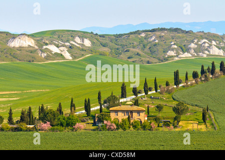 Tipico paesaggio toscano vista con villa (Crete Senesi regione vicino Siena) Foto Stock