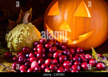 Still-life con zucche e cranberry su foglie di giallo Foto Stock