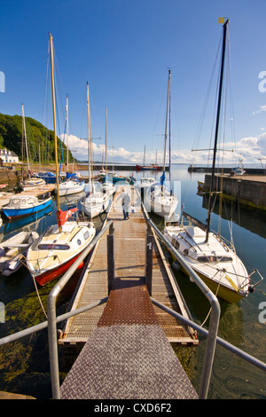 Estate al porto Avoch sul Moray Firth Foto Stock