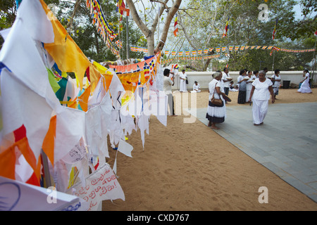 Persone in preghiera presso Sri Maha Bodhi (sacra bodhi tree), Anuradhapura, Nord provincia centrale, Sri Lanka Foto Stock