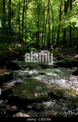 Heinrich-Heine-trail in Ilsetal, Ilsenburg Foto Stock