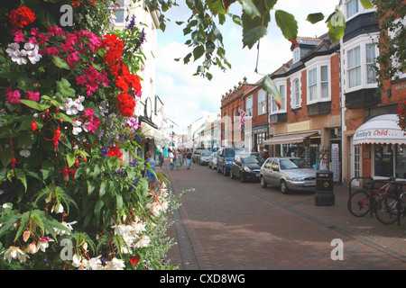Fiori colorati in mostra nel vecchio Fore Street, Sidmouth, Devon Regno Unito Foto Stock