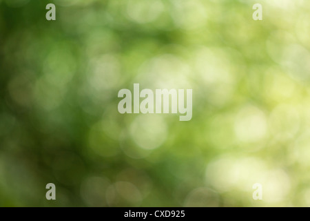 Splendidamente astratto verde sfondo sfocato Foto Stock