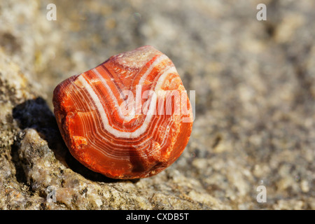 Un ruvido Lago Superior campione di agata. Agate come questo spesso vengono barilate o faccia lucidata per migliorare il loro aspetto. Foto Stock