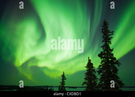 Aurora Boreale o luci del nord, nord-Ovest Territori, CANADA Foto Stock