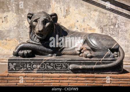 Uno dei due distese di granito lion statue realizzate per il Faraone Nectanebo I, il Museo del Vaticano, Roma, lazio, Italy. Foto Stock