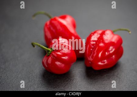 Red habaneros sulla piastra di ardesia Foto Stock