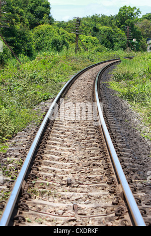 Vuoto ferro ferroviarie con la natura in modo Foto Stock