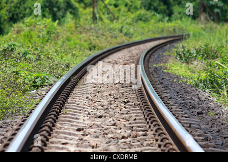 Vuoto ferro ferroviarie con la natura in modo Foto Stock