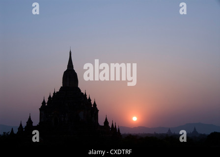 Sulamani Pahto al tramonto, Bagan (pagano), Myanmar (Birmania), Asia Foto Stock