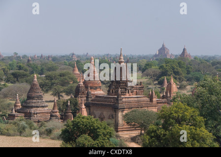 Piccoli templi vicino alla Shwesandaw Paya in primo piano, Bagan (pagano), Myanmar (Birmania), Asia Foto Stock