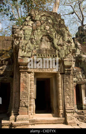 Ta Prohm, Parco Archeologico di Angkor, Sito Patrimonio Mondiale dell'UNESCO, Siem Reap, Cambogia, Indocina, Asia sud-orientale, Asia Foto Stock