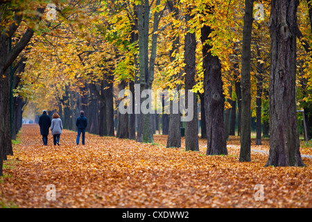 Famiglia a piedi attraverso un vicolo in autunno Foto Stock