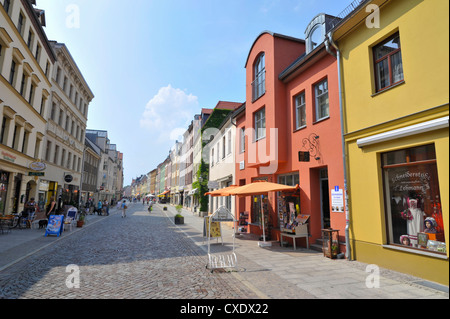 UNESCO World Heritage Site, Lutero di città di Wittenberg (Lutherstadt Wittenberg), Sassonia-Anhalt, Germania, Europa Foto Stock