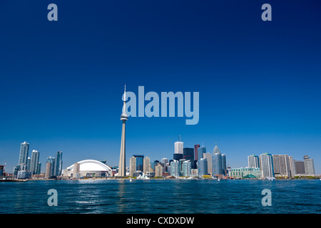 Skyline della città che mostra la CN Tower, Toronto, Ontario, Canada, America del Nord Foto Stock