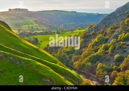 Dovedale, Parco Nazionale di Peak District, Derbyshire, Inghilterra Foto Stock