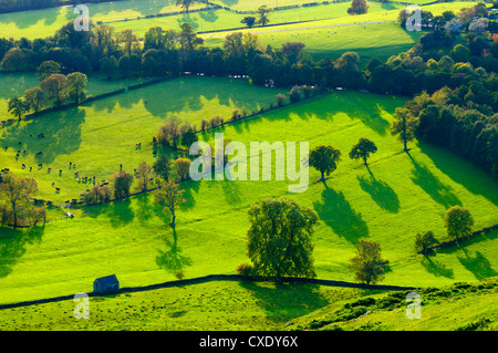 Fiume Valle del collettore vicino Ilam, Parco Nazionale di Peak District, Derbyshire, Inghilterra Foto Stock