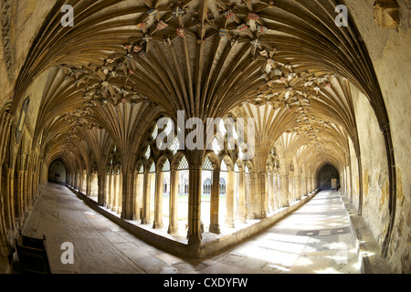 Il grande chiostro, Cattedrale di Canterbury, Sito Patrimonio Mondiale dell'UNESCO, Canterbury, nel Kent, England, Regno Unito, Europa Foto Stock