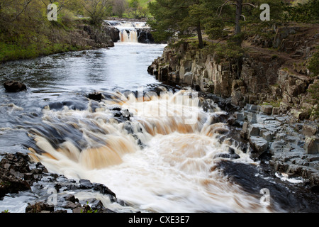 Bassa forza di Teesdale superiore, nella contea di Durham, Inghilterra Foto Stock