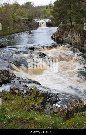 Bassa forza di Teesdale superiore, nella contea di Durham, Inghilterra Foto Stock