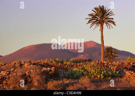 Parque Nacional de Timanfaya (Parco Nazionale Timanfaya) con Montanas del Fuego, Yaiza, Lanzarote, Isole Canarie, Spagna Foto Stock