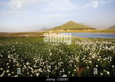 Landmannalaugar, Islanda Foto Stock