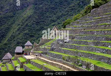 Terrazzamenti agricoli , Machu Picchu, Perù, Sud America. La Città perduta degli Inca fu riscoperta da Hiram Bingham nel 1911 Foto Stock