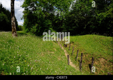 Verdun,Douaumont,Boyau de Londres trincea,14-18,prima guerra mondiale,Mosa,Lorraine,Francia Foto Stock