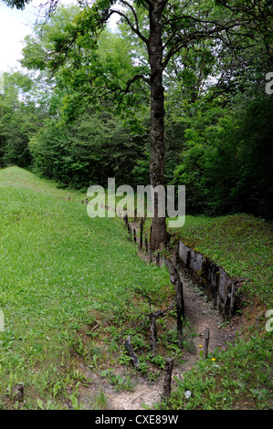 Verdun,Douaumont,Boyau de Londres trincea,14-18,prima guerra mondiale,Mosa,Lorraine,Francia Foto Stock