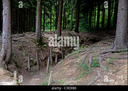 Verdun,Douaumont,Boyau de Londres trincea,14-18,prima guerra mondiale,Mosa,Lorraine,Francia Foto Stock