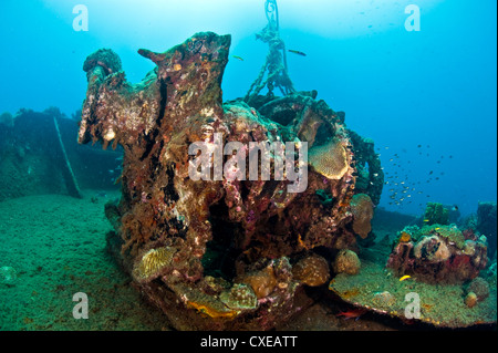 Ingranaggio sul ponte del relitto dell'Lesleen M, un cargo affondato come un reef artificiale nel 1985 off Anse Cochon Bay, Santa Lucia Foto Stock